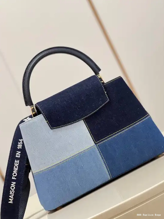Aaa replica bags VUITTON CAPUCINES MM LOUIS 0613